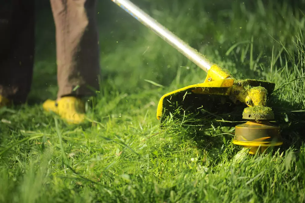 Using Weed eater the right way