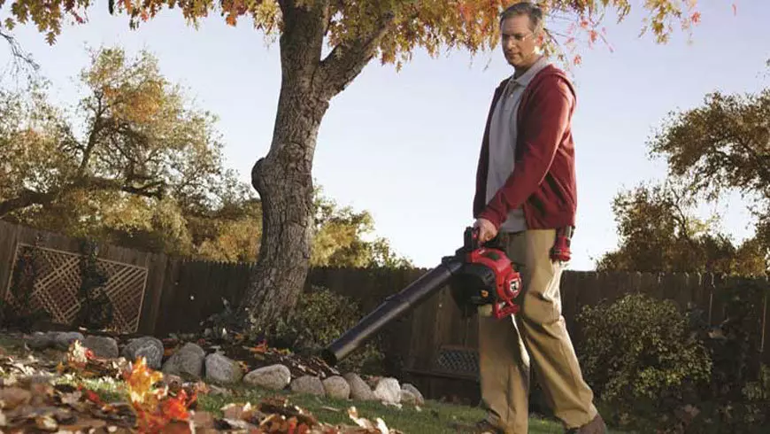 Best 4 Cycle Leaf Blower