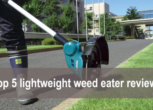 Top 5 Best Cordless Lightweight Weed Eater Reviews