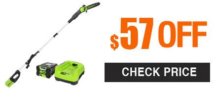Greenworks PRO 9' 80V Cordless Pole Saw