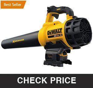DEWALT XR Brushless Blower