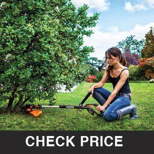 Worx WG163.9 20V Cordless Grass Trimmer/Edger