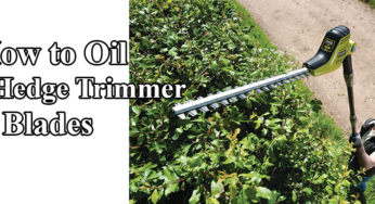 How to Oil Hedge Trimmer Blades: Follow This Process