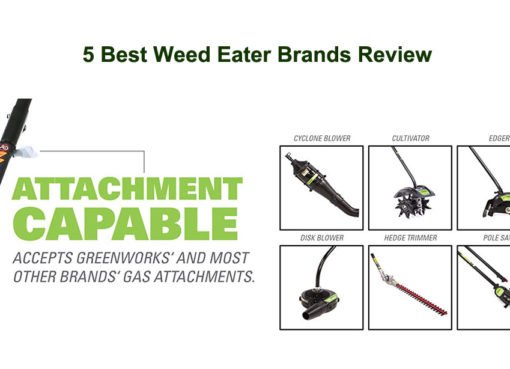 5 Best Weed Eater Brands Review