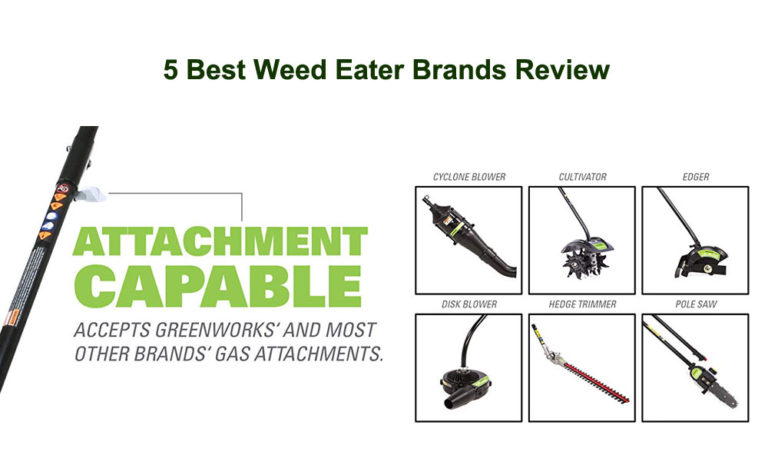 5 Best Weed Eater Brands Review: Check The #1 Brand In The World
