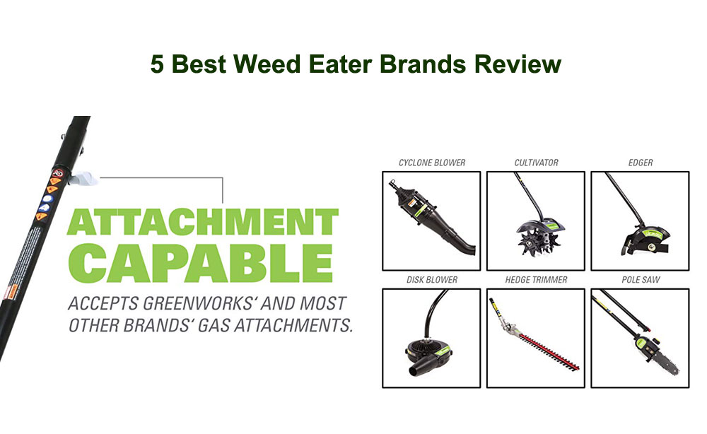 5 Best Weed Eater Brands Review