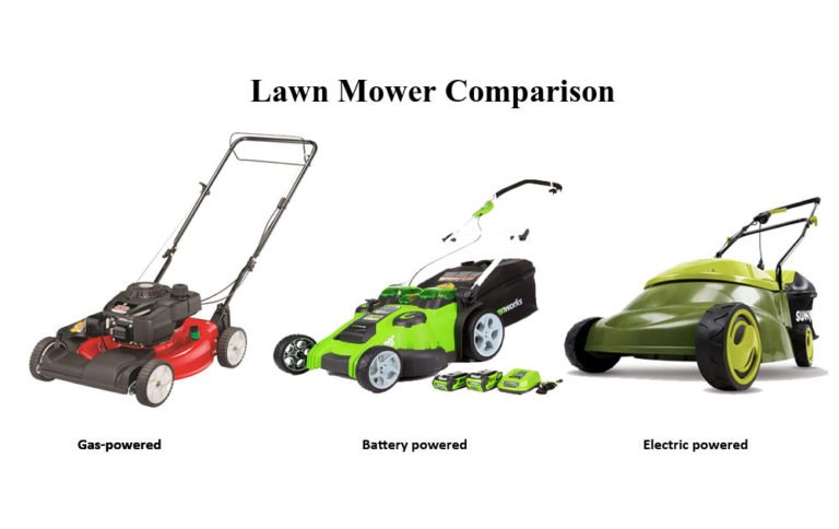 Lawn Mower Comparison: Everything You Need to Know About