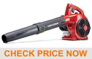 Craftsman B215 25cc 2-Cycle Handheld Gas-Powered Leaf Blower Craftsman B215 25cc 2-Cycle Handheld Gas-Powered Leaf Blower