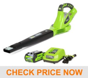 Greenworks 40V Speed Cordless Leaf Blower